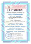 Сертификат официального дилера Energo Сертификат официального дилера Energo
