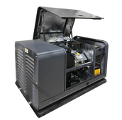 Газовый генератор Mitsui Power GM 7000 - фото Газовый генератор Mitsui Power GM 7000 - фото