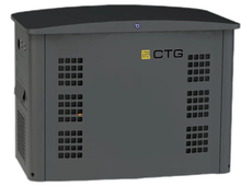 Газовый генератор CTG CG17000SA - фото