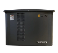 Газовый генератор CTG CG18000TSA - фото