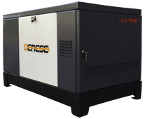 Газовый генератор Genese Pro 17000 Neva в кожухе с АВР - фото Газовый генератор Genese Pro 17000 Neva в кожухе с АВР - фото