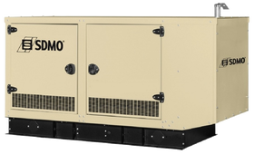 Газовый генератор SDMO GZ50-IV - фото Газовый генератор SDMO GZ50-IV - фото