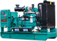 Дизельный генератор MGE P250CS - фото Дизельный генератор MGE P250CS - фото