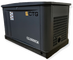 Газовый генератор CTG CG10000SA - фото