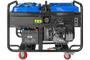 Бензиновый генератор ТСС SGG 12000EH3LA с АВР - фото