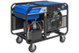 Бензиновый генератор ТСС SGG 17000EH3A - фото