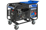 Бензиновый генератор ТСС SGG 17000EH3A - фото