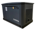 Газовый генератор CTG CG10000SA - фото