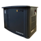 Газовый генератор CTG CG18000TSA - фото