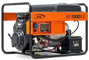 Бензиновый генератор RID RV 10001 E в контейнере - фото
