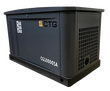 Газовый генератор CTG CG10000SA - фото
