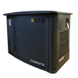 Газовый генератор CTG CG18000SA - фото