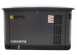 Газовый генератор CTG CU25000TSA - фото