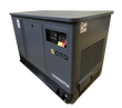 Газовый генератор CTG CU30000SA - фото