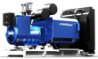 WPS1250