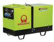 P11000
